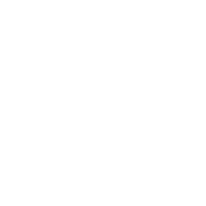  Leipziger Verlags- und Druckereigesellschaft mbH & Co. KG