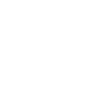  Leipziger Verlags- und Druckereigesellschaft mbH & Co. KG